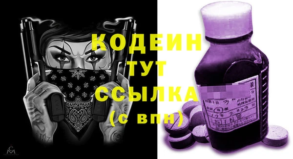 молекула духа Пестово