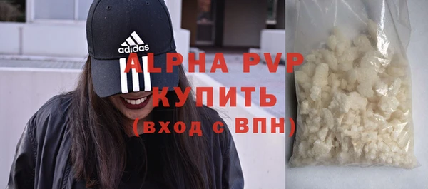 молекула духа Пестово