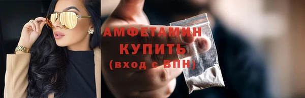 молекула духа Пестово