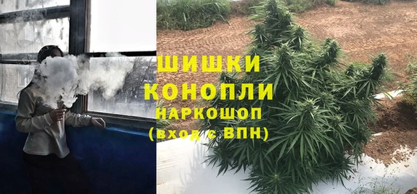 молекула духа Пестово
