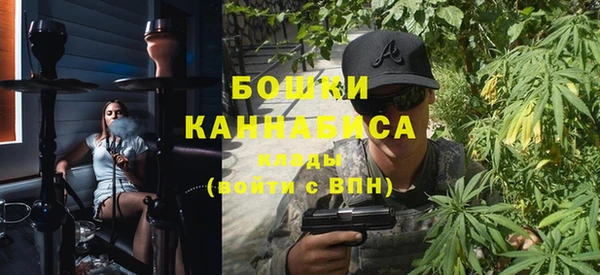 молекула духа Пестово