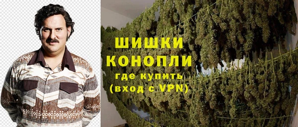 молекула духа Пестово